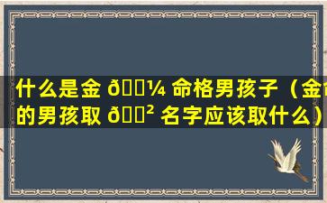 什么是金 🐼 命格男孩子（金命的男孩取 🌲 名字应该取什么）